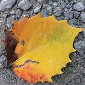 Meet your Posher, Darlene